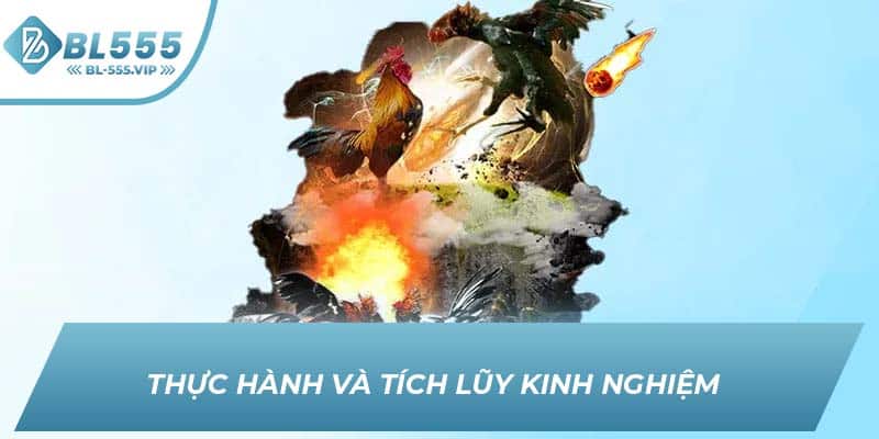 Thực hành và tích lũy kinh nghiệm